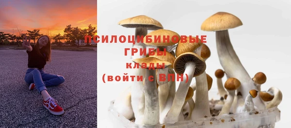 гашишное масло Козельск