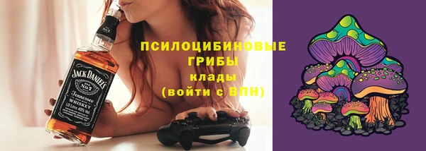 гидра Киреевск