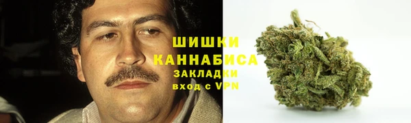 ГАЛЛЮЦИНОГЕННЫЕ ГРИБЫ Корсаков