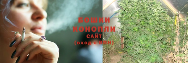 ALPHA PVP Коряжма