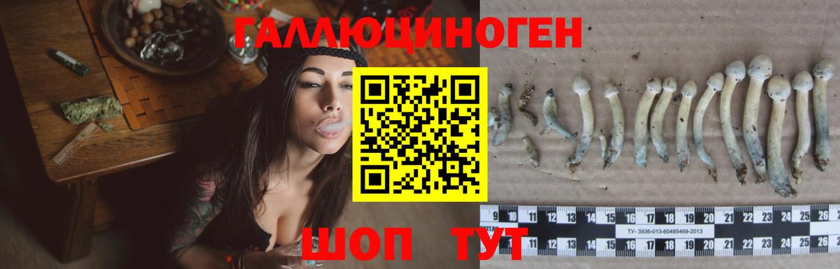 Галлюциногенные грибы Psilocybine cubensis Людиново